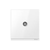 G67T103 เต้ารับทีวี 1 ช่อง