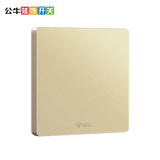 Wall Switch & Outlet-Melody G12-G12B101